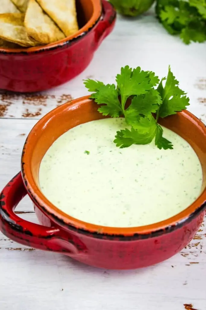 a closeup shot of creamy jalapeno dip in a rustic bowl with tortilla chips in the background