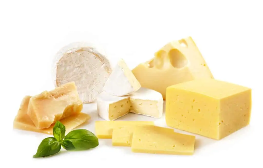 a variety of cheeses