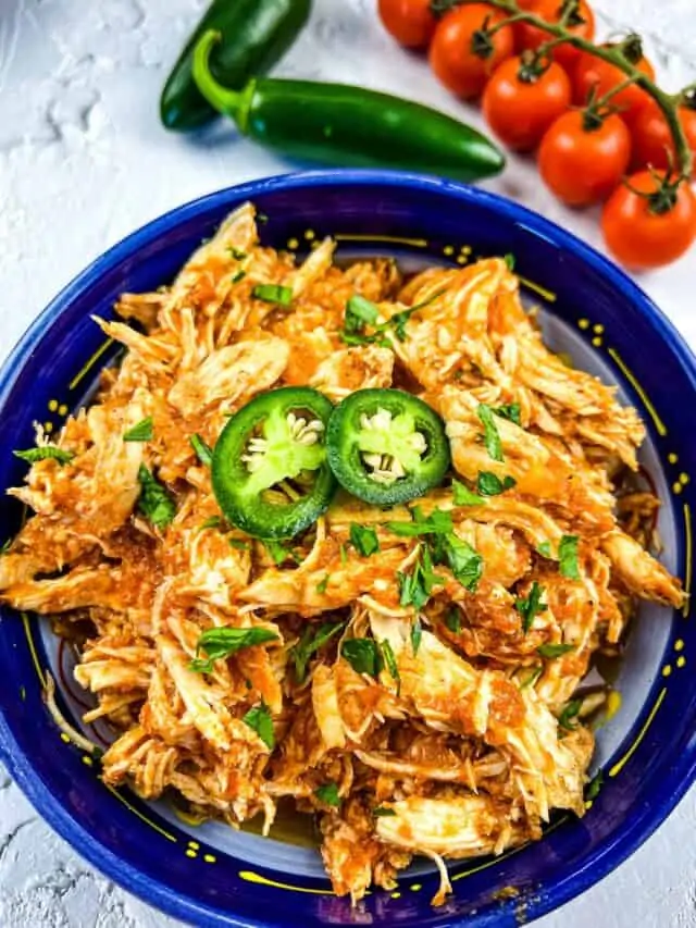 cropped-chicken-tinga-finished-3a.jpg