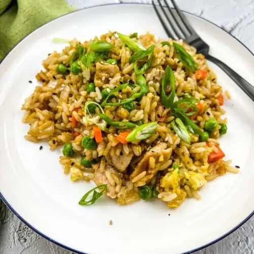 chicken fried rice on a white plate