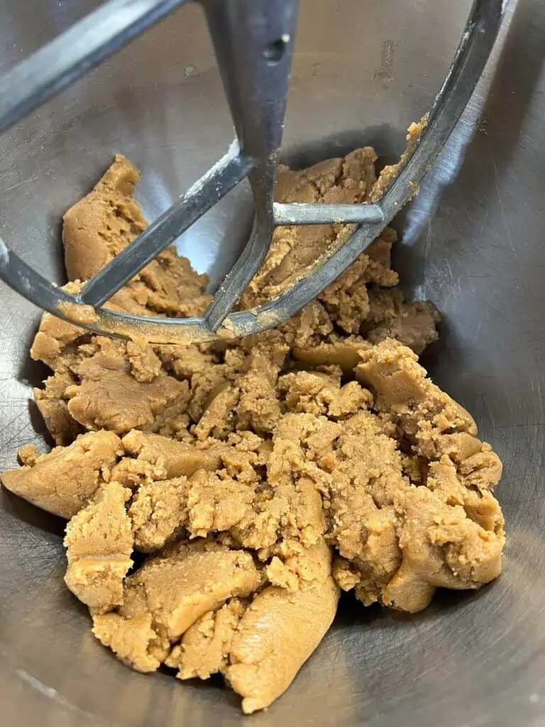 Finished dough in the bowl of a mixer.