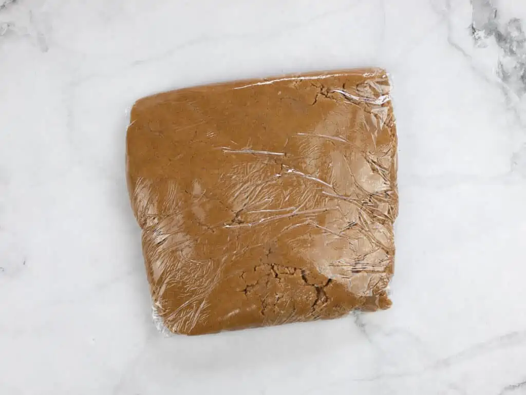 Plastic wrapped dough disc.