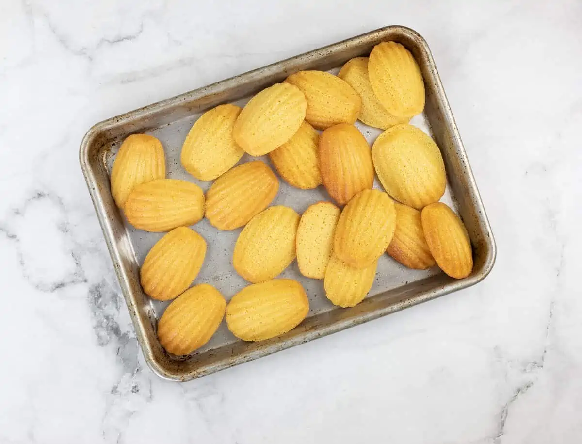 baked cornbread madeleines cooling on a baking sheet