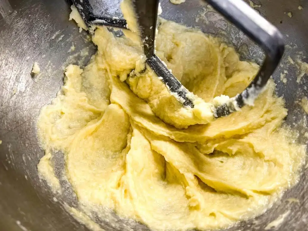 Cookie dough with egg and vanilla mixed in.