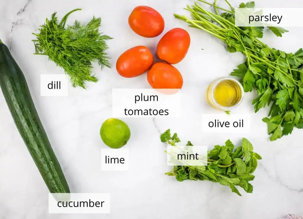 Labeled ingredients to make Shirazi Salad.