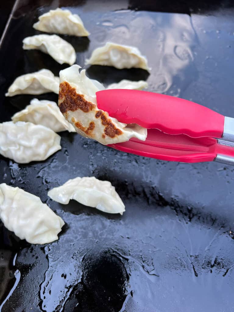 The brown and crispy bottom on a potsticker.