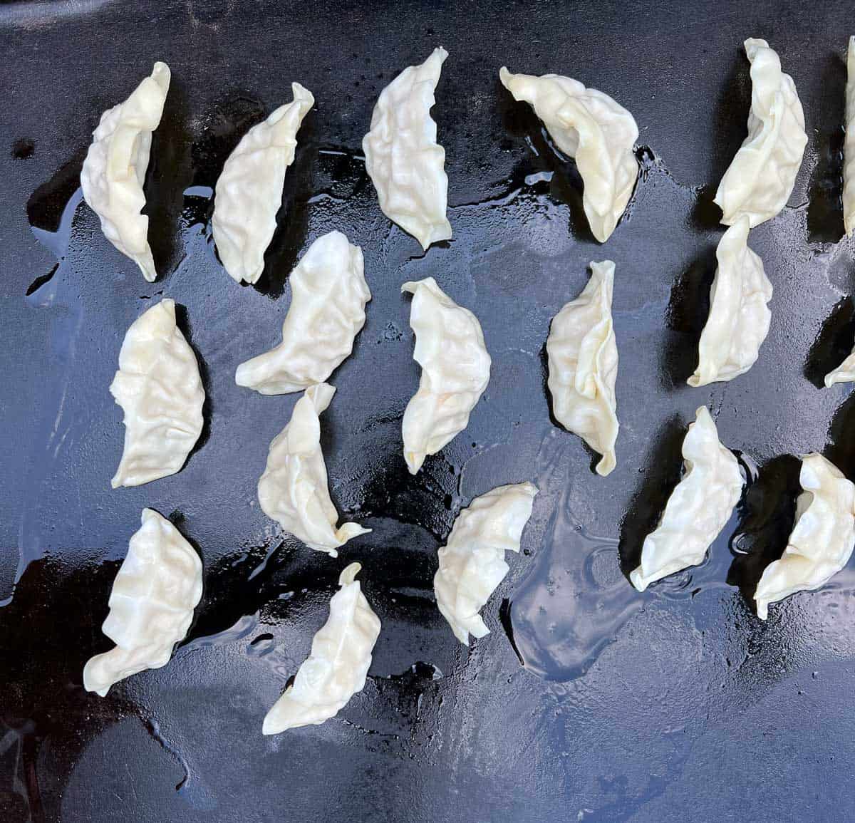 Potstickers on an oiled Blackstone Griddle.