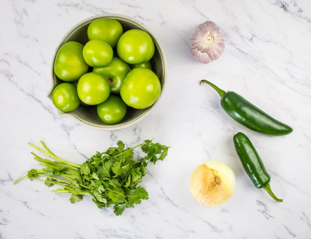 The Best Tomatillo Sauce Cook What You Love