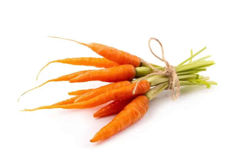 Fresh baby carrots on a white background.