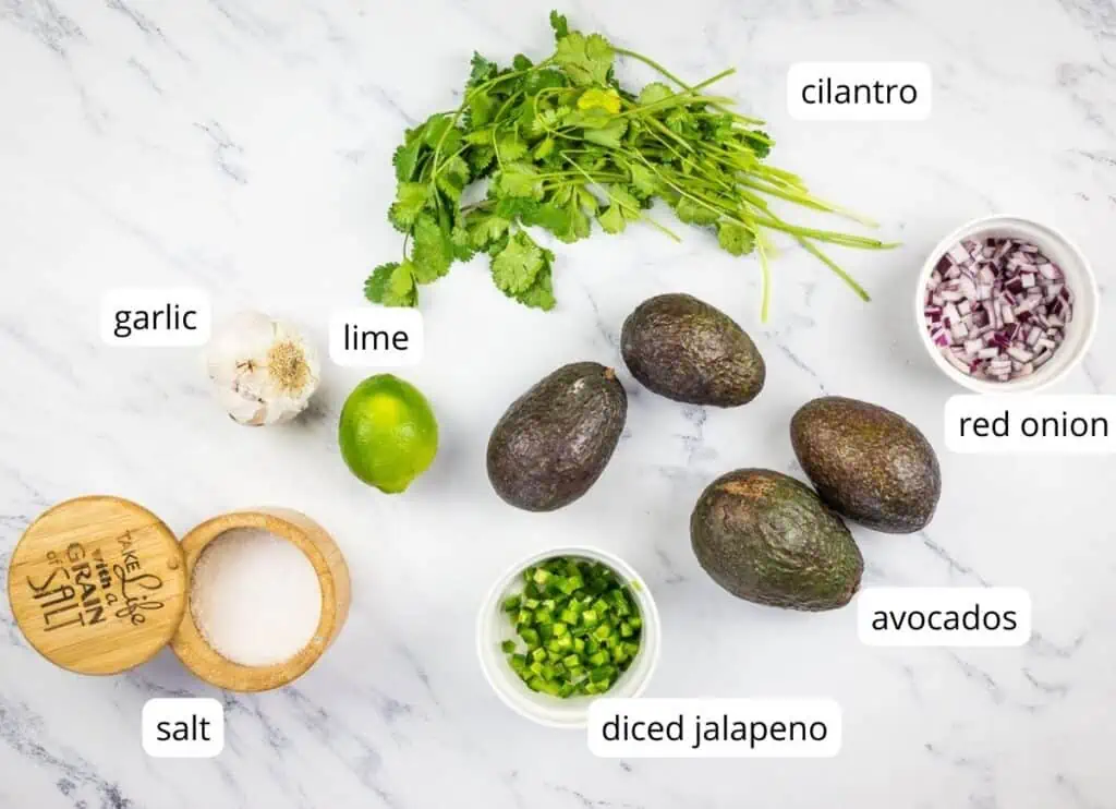 Labeled ingredients to make easy guacamole. 