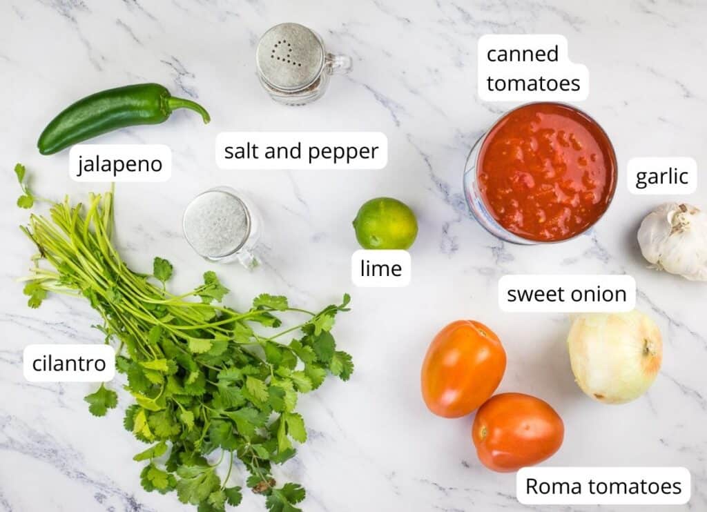 Labeled ingredients to make food processor salsa.