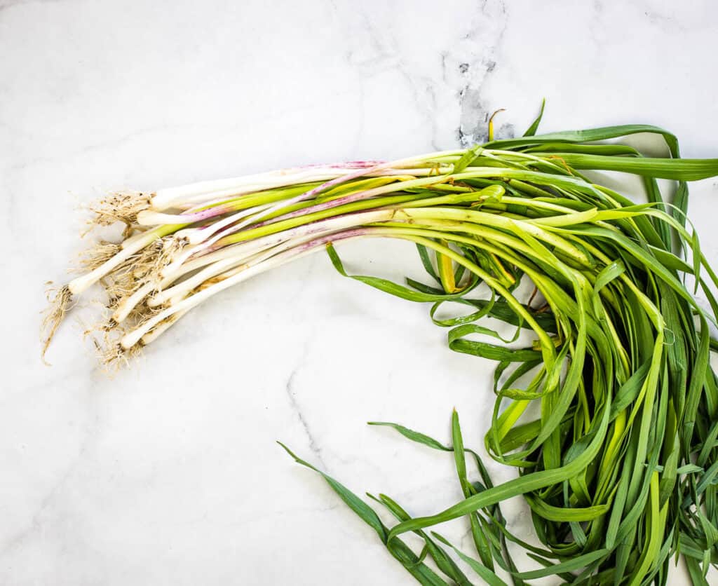 A bunch of green garlic on the counter.