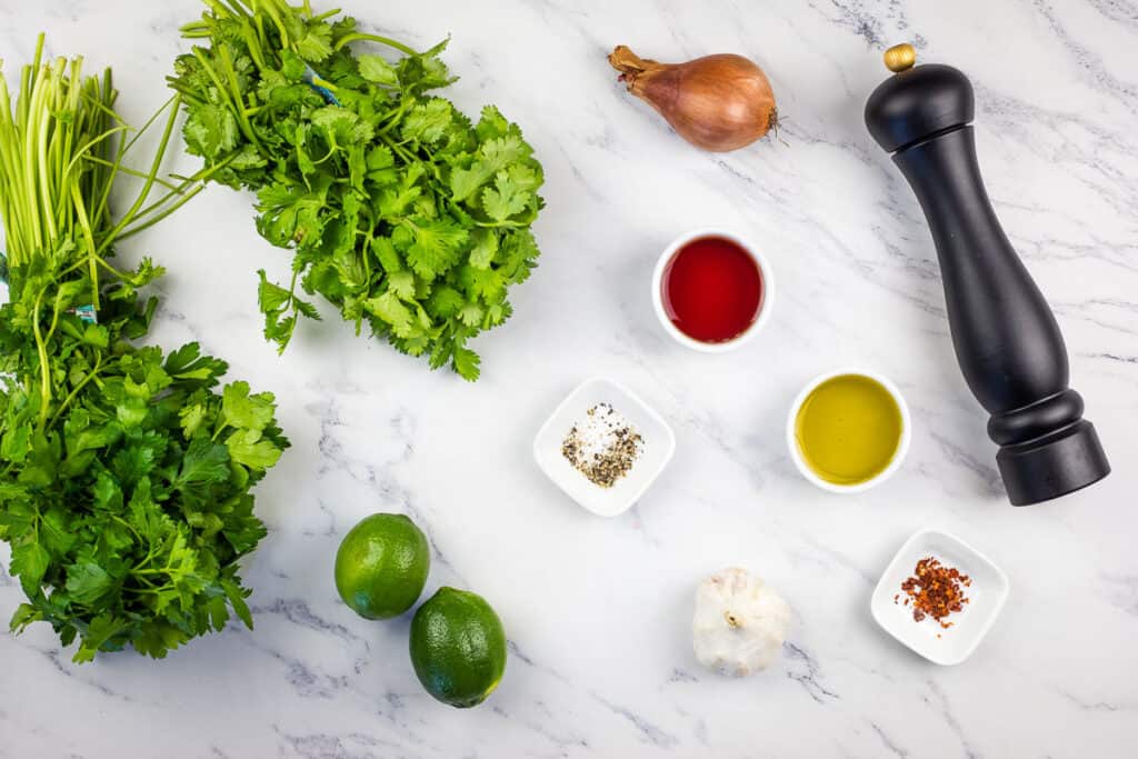 Ingredients to make chimichurri sauce.