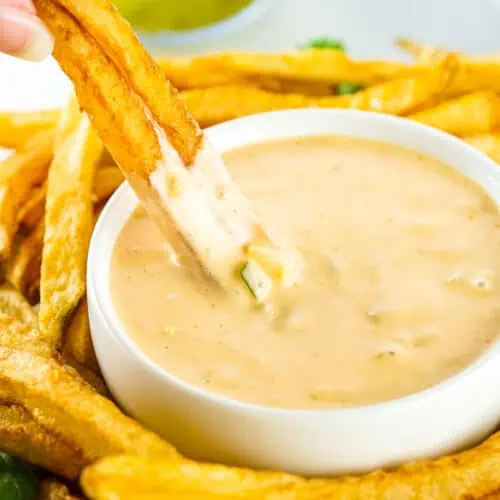 Animal Sauce in a bowl with fries around it.