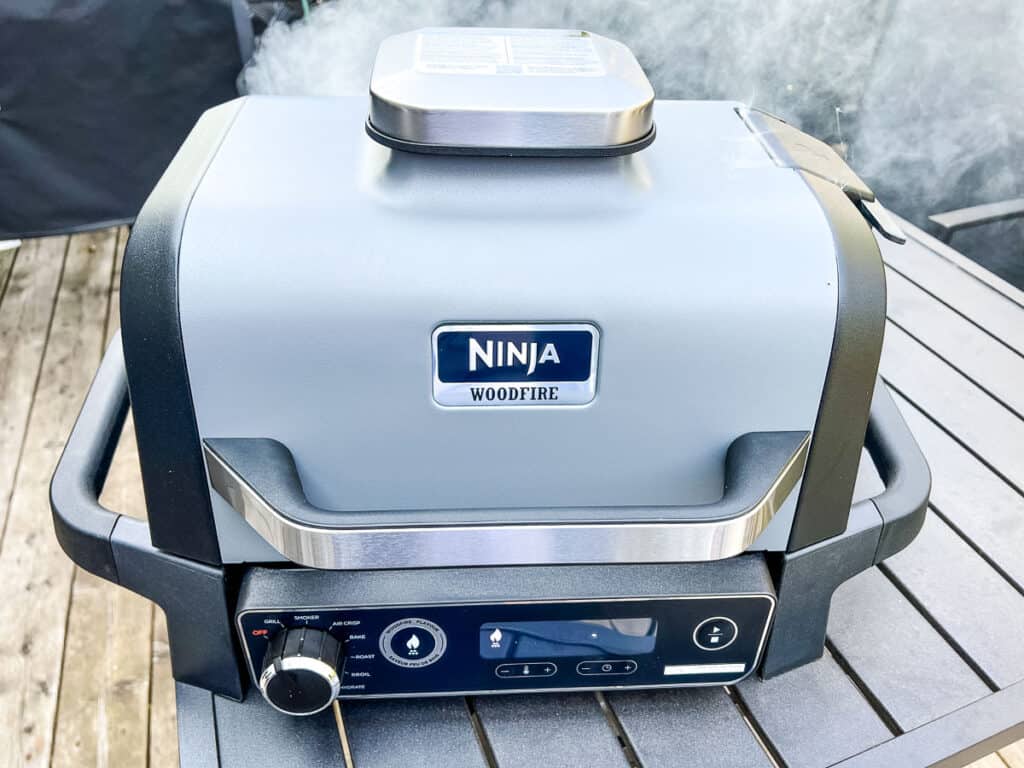 Ninja Woodfire Outdoor Oven review