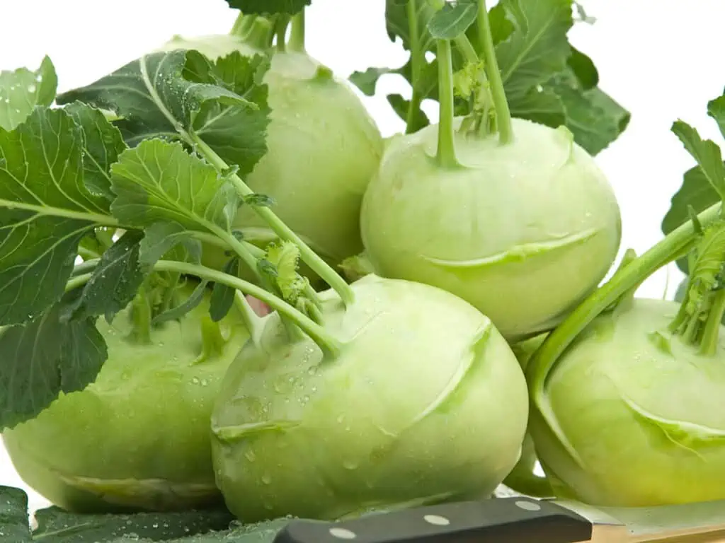 Several kohlrabi on a counter with a knife in the front.