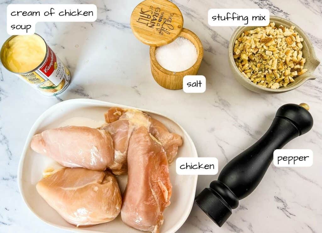 Labeled ingredients to make 4-Ingredient Slow Cooker Chicken.