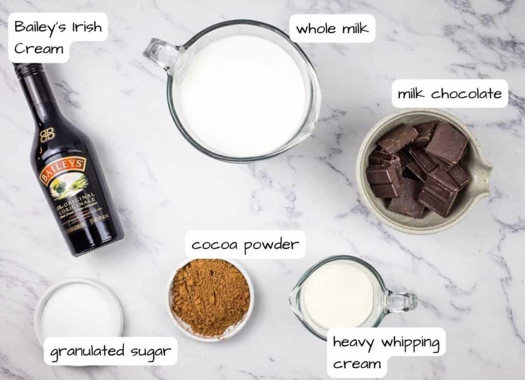 Ingredients for bailey's chocolate milk.