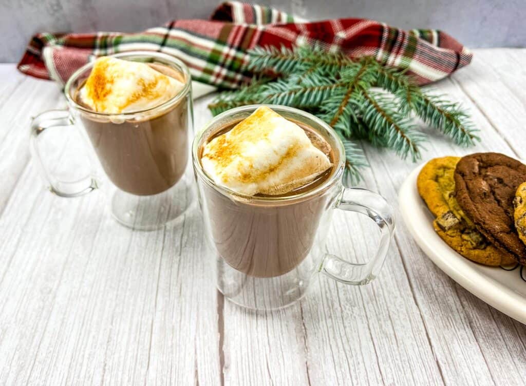Two glasses of hot chocolate with marshmallows and cookies.