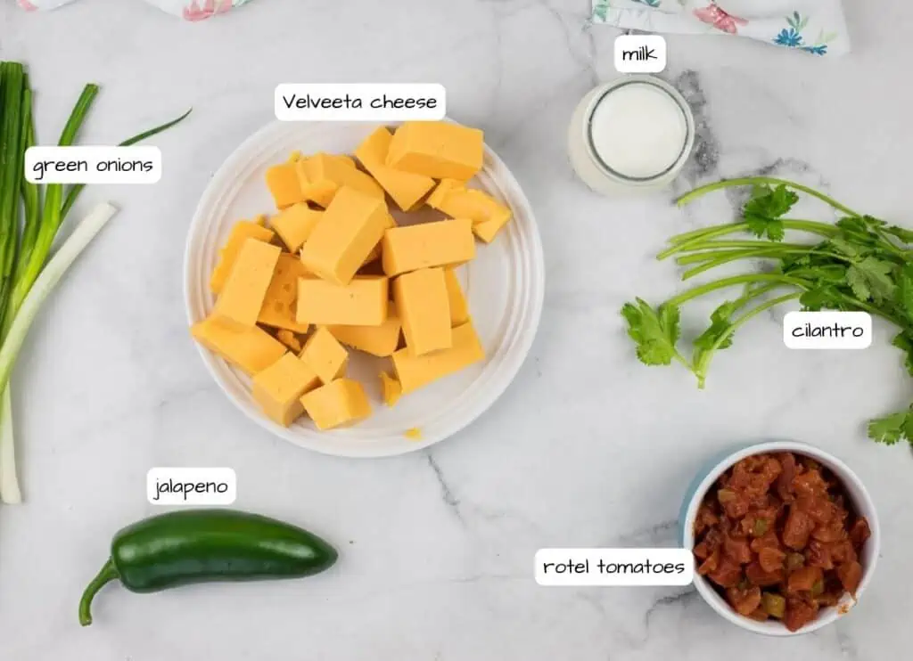 The ingredients for a deluxe Velveeta queso.