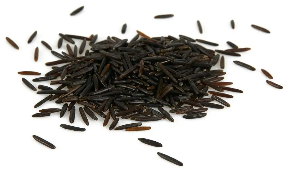 A pile of wild rice on a white background.