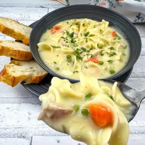 Turkey Noodle Soup in a bowl with a small portion on a spoon.