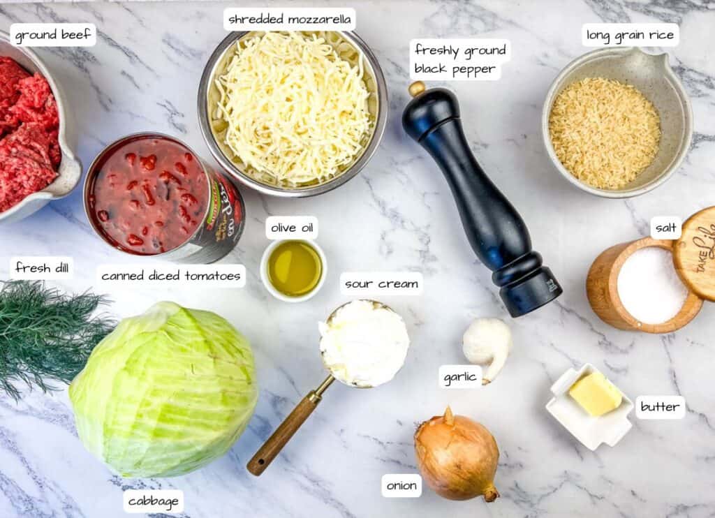 Cabbage Roll Casserole ingredients with labels.