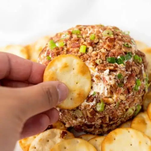 A hand holding a cracker getting a small amount of Pecan Bacon Cheeseball.