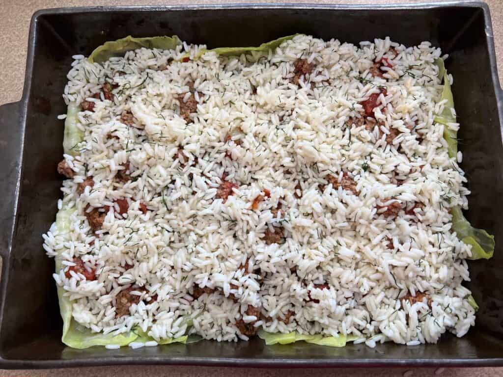 Top with half of the rice.