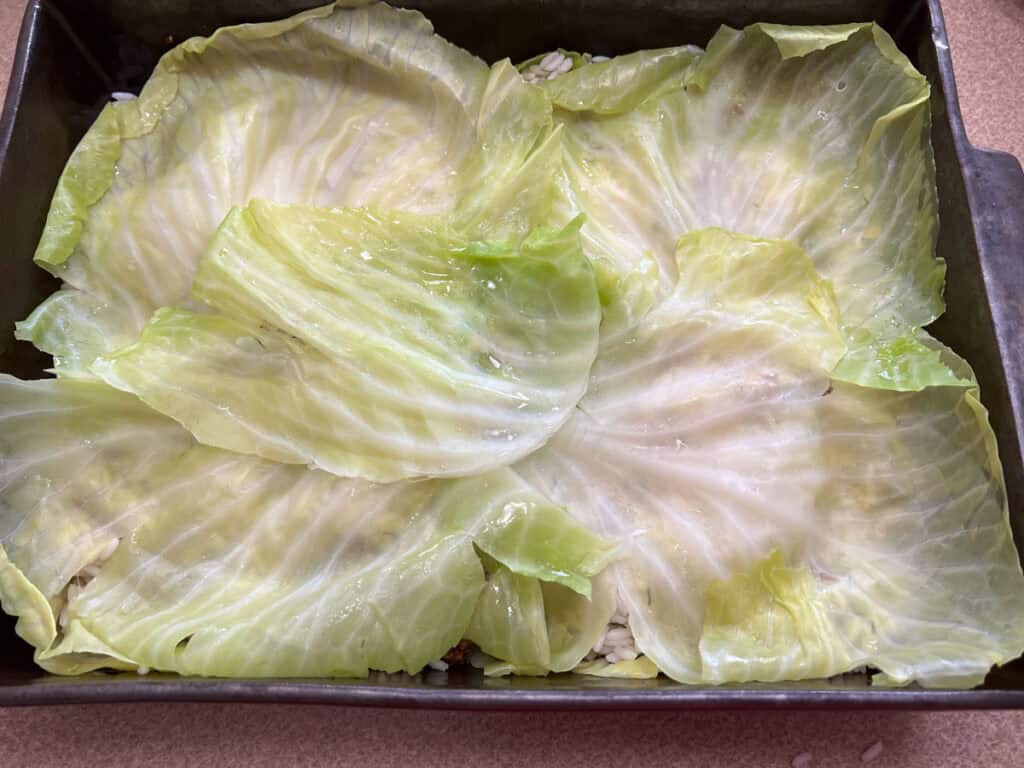Add another layer of cabbage leaves.