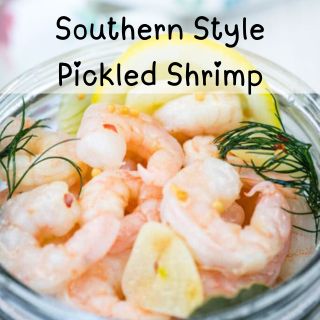 Close-up Southern Style Pickled Shrimp with lemon slices and dill on a jar.
