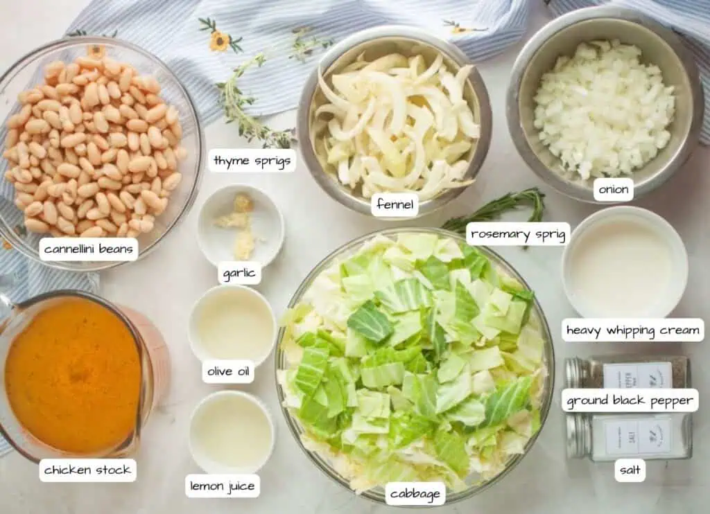 Various bowls containing ingredients for Cabbage and Bean Soup labeled as cannellini beans, fennel, onion, cabbage, chicken stock, garlic, olive oil, lemon juice, thyme sprigs, rosemary sprig, salt, and pepper.