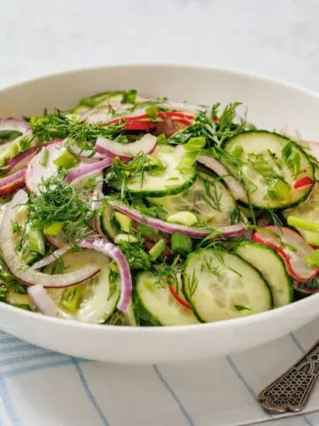 Bowl of Radish Salad with red onion, radishes, and fresh herbs on a plaid cloth, accompanied by a fork.
