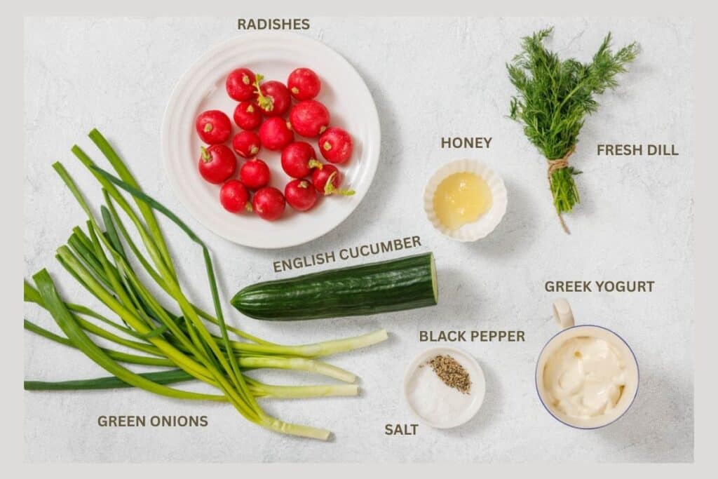 Ingredients for a recipe: radishes, fresh dill, honey, green onions, an English cucumber, Greek yogurt, black pepper, and salt arranged on a light surface.