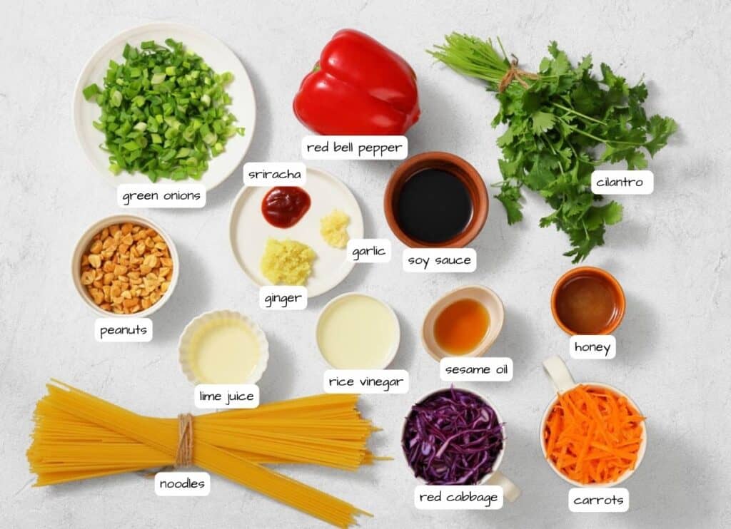 A flat lay of various labeled ingredients for a noodle dish, including vegetables, sauces, noodles, peanuts, and fresh herbs on a white surface.