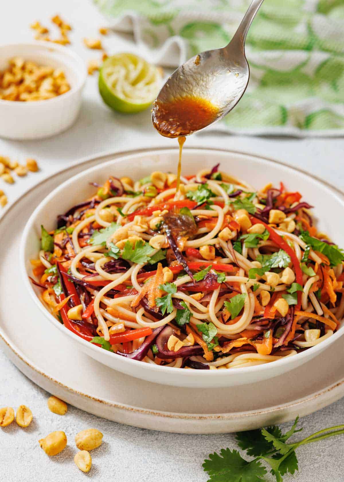 Asian Noodle Salad with Ginger-Sesame Dressing Asian Noodle Salad with Ginger-Sesame Dressing