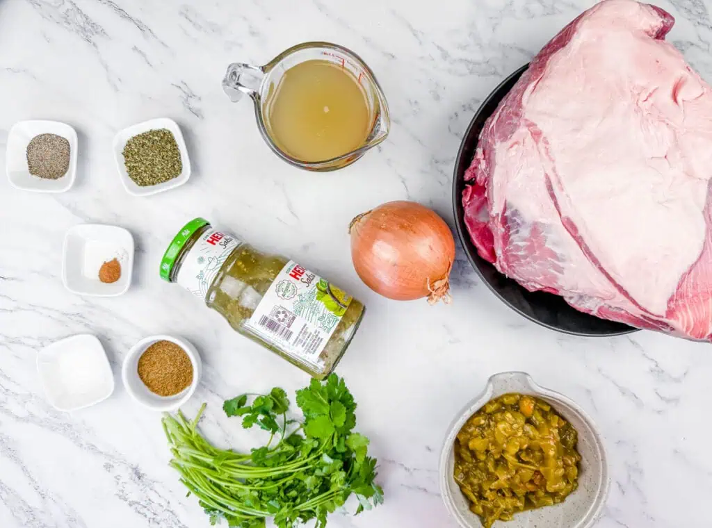 Overhead shot of various ingredients laid out on a white marble surface, including a large piece of raw pork on a black plate, a jar of green salsa, a yellow onion, a measuring cup of broth, small bowls of spices, and fresh cilantro.