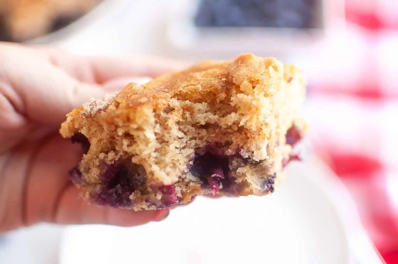 A hand holding a partially eaten piece of classic blueberry boy bait, showing its moist interior and visible blueberries.