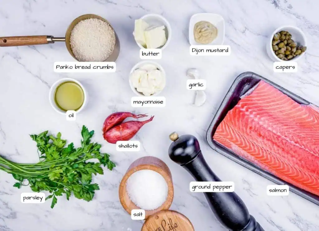Overhead shot of labeled ingredients for salmon balls including salmon fillet, panko bread crumbs, herbs, spices, and other flavorings.