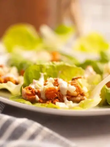 A close-up of Buffalo Chicken lettuce wraps filled with shredded chicken and topped with a white sauce, arranged on a white plate.