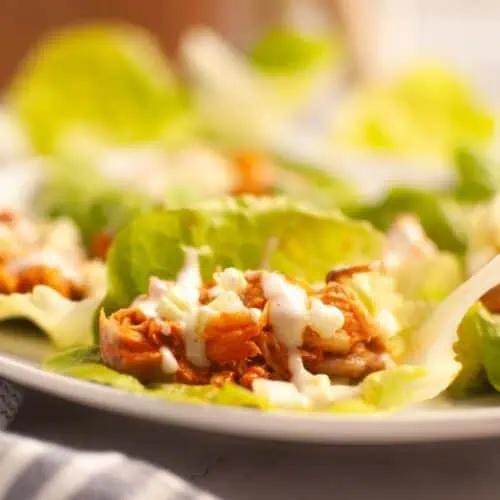 A close-up of Buffalo Chicken lettuce wraps filled with shredded chicken and topped with a white sauce, arranged on a white plate.