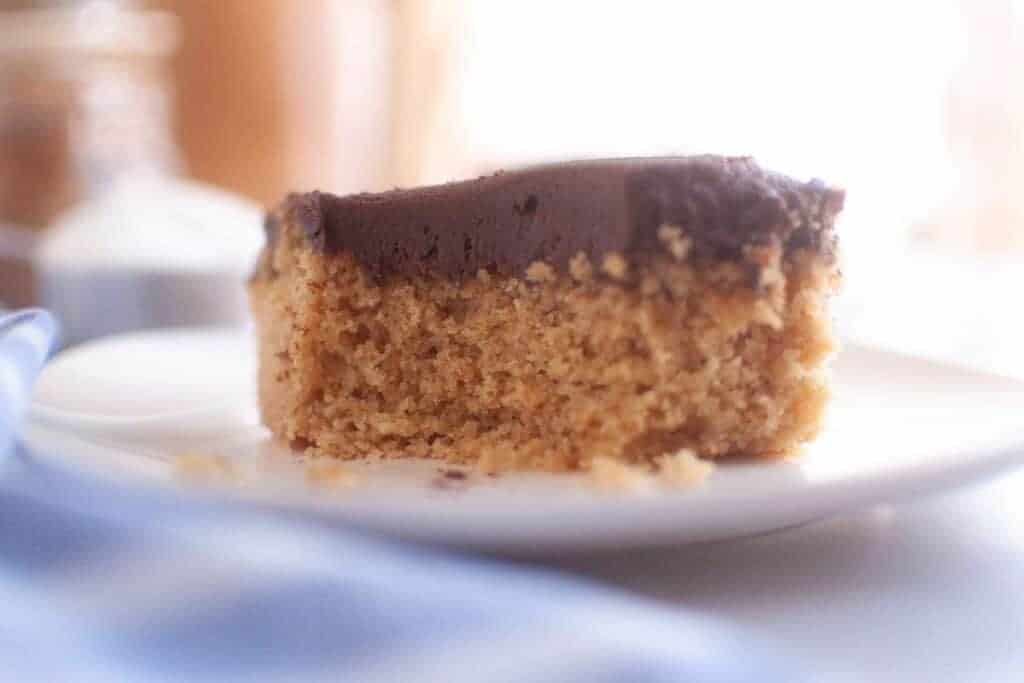 A close-up of a graham cracker cake with a chocolate frosting layer on top, placed on a white plate.