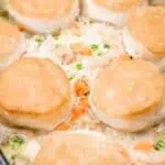 A casserole dish filled with creamy chicken and vegetable mixture, topped with golden-brown biscuits arranged evenly on top.
