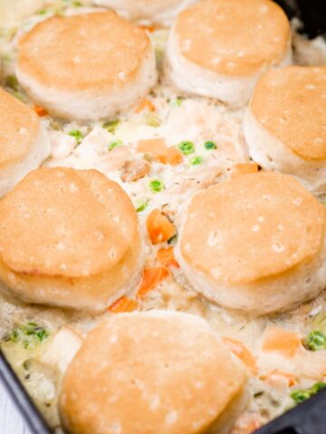 A casserole dish filled with creamy chicken and vegetable mixture, topped with golden-brown biscuits arranged evenly on top.