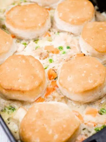 A casserole dish filled with creamy chicken and vegetable mixture, topped with golden-brown biscuits arranged evenly on top.