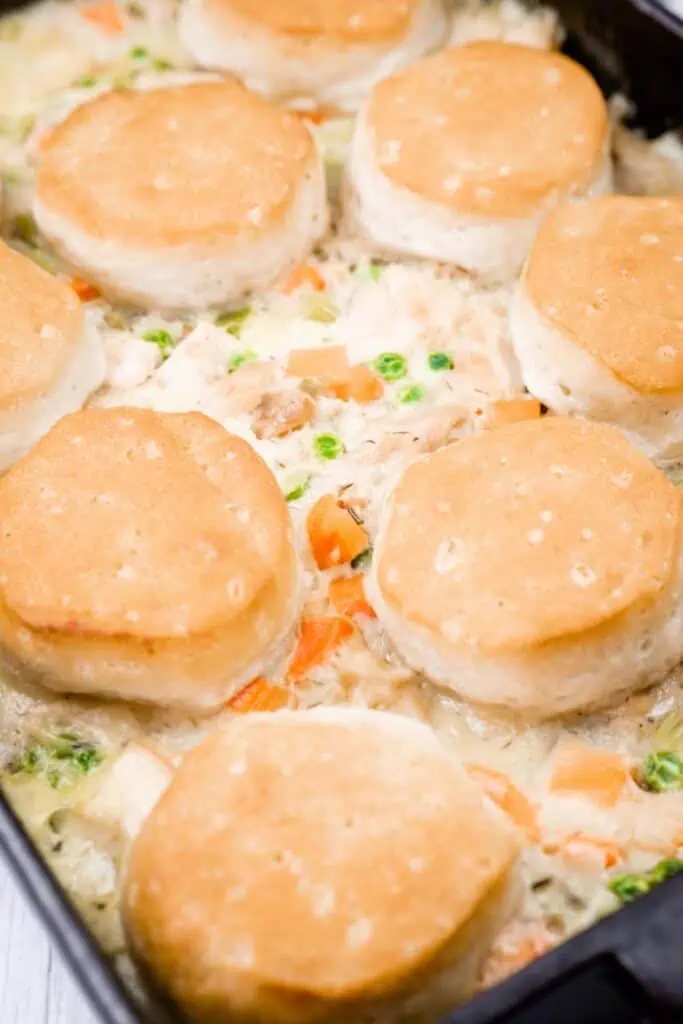 A casserole dish filled with creamy chicken and vegetable mixture, topped with golden-brown biscuits arranged evenly on top.