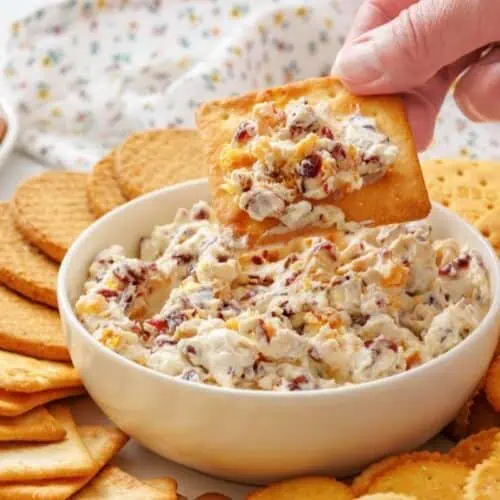 A hand dips a cracker into a bowl of cranberry cheese spread, surrounded by assorted crackers on a plate.