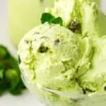 A glass bowl filled with scoops of mint chocolate chip ice cream, garnished with a sprig of mint, with fresh mint leaves in the background.