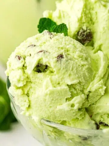 A glass bowl filled with scoops of mint chocolate chip ice cream, garnished with a sprig of mint, with fresh mint leaves in the background.