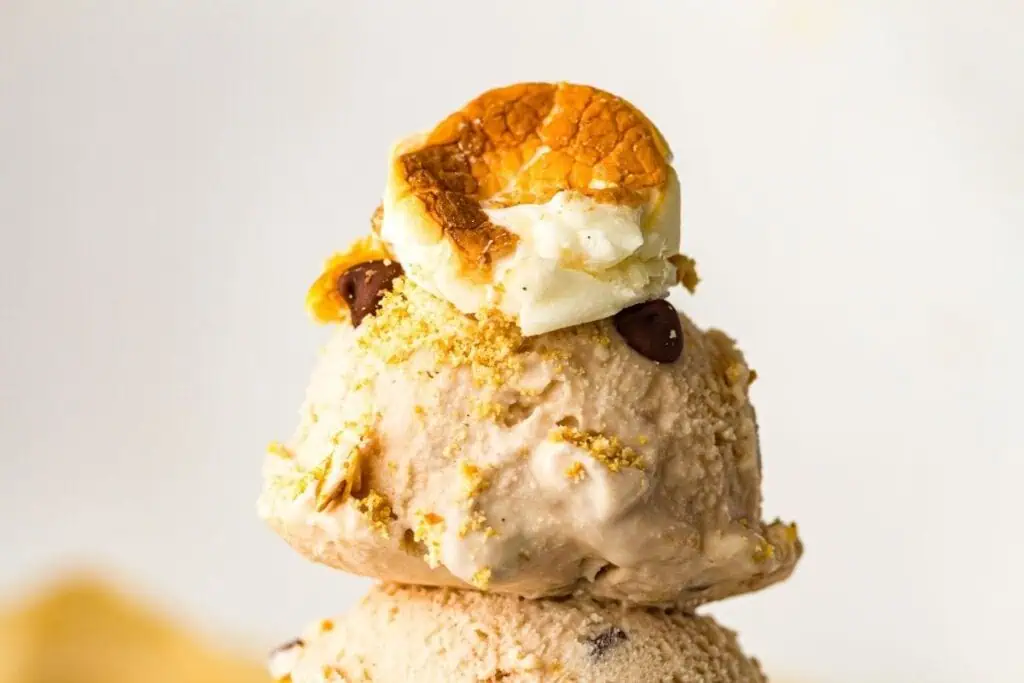 A scoop of ice cream topped with a toasted marshmallow, graham cracker crumbs, and chocolate chips against a plain background.